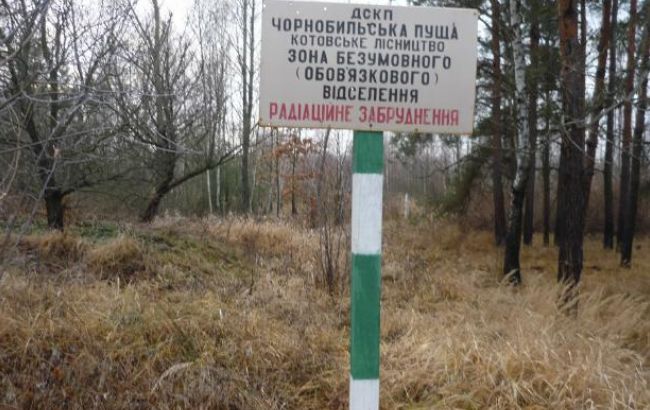 Пожар под ЧАЭС: милиция возбудила дело