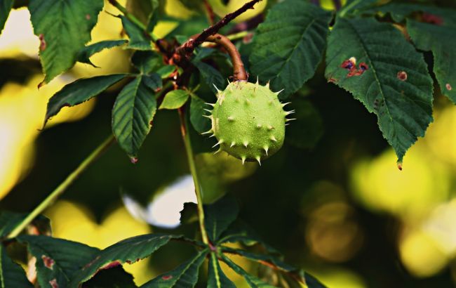 Липень закінчується: синоптик розповіла, до чого готуватися в останній день місяця