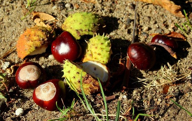 17 сентября: какой сегодня праздник и кто родился в этот день