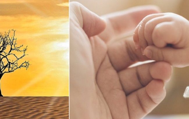 Изменение климата:&nbsp;ученые предупредили о новых серьезных вызовах