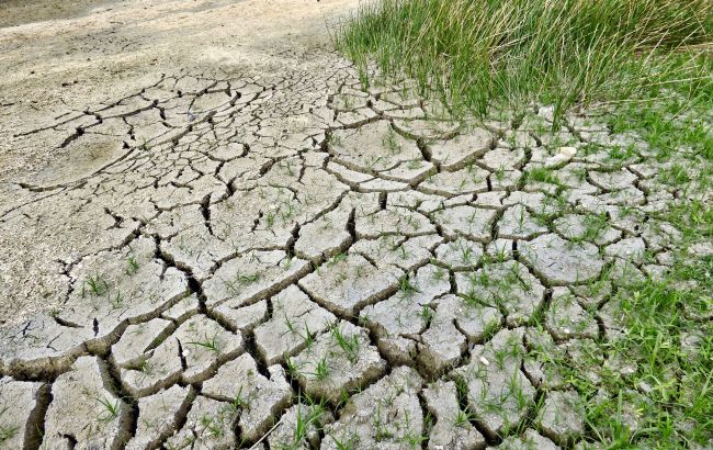 Влітку в Україні буде ще спекотніше: кліматолог приголомшила прогнозом