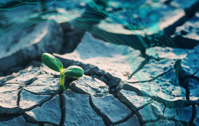 В ближайшие пять лет планету ждет потепление на полтора градуса Цельсия, - ООН