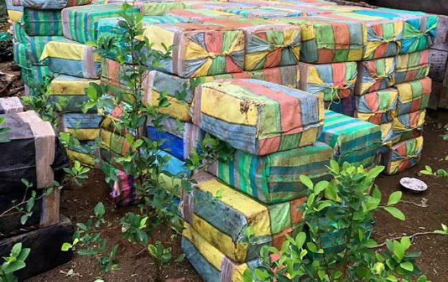 В джунглях Колумбии обнаружены секретные нарколаборатории