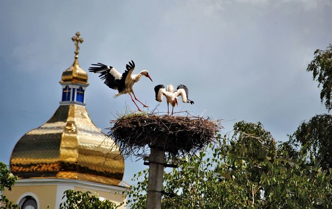 На Волині священник привітав Путіна з днем ангела: селяни в гніві закрили церкву на замок