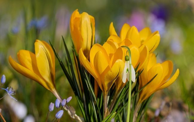 Тепло вже близько: синоптик порадувала прогнозом погоди