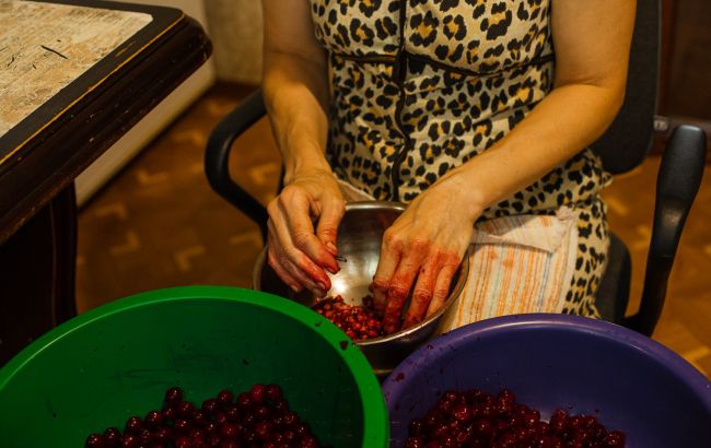 Эти простые способы помогут быстро удалить косточки из вишен и черешен