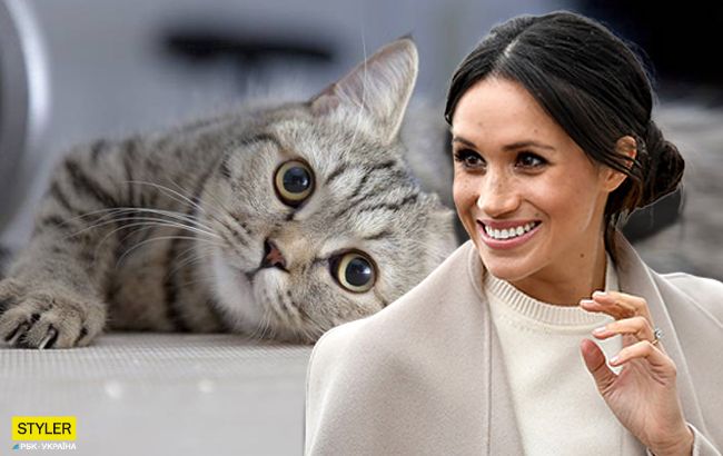 Страдал от ожирения: в честь кого Меган Маркл назвала своего сына