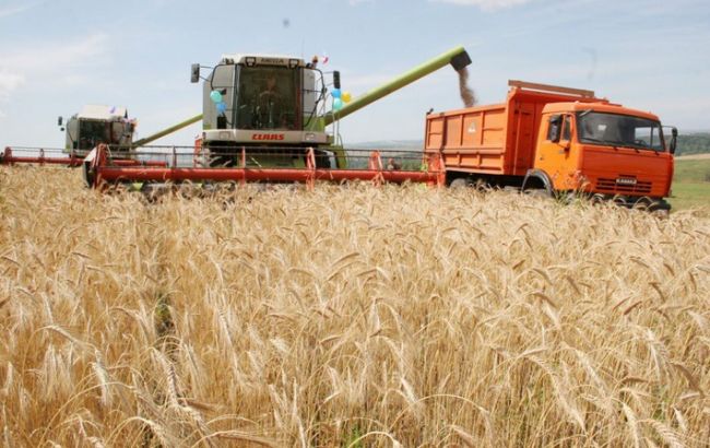 Глобальное потепление может уничтожить многие виды зерновых культур к 2070