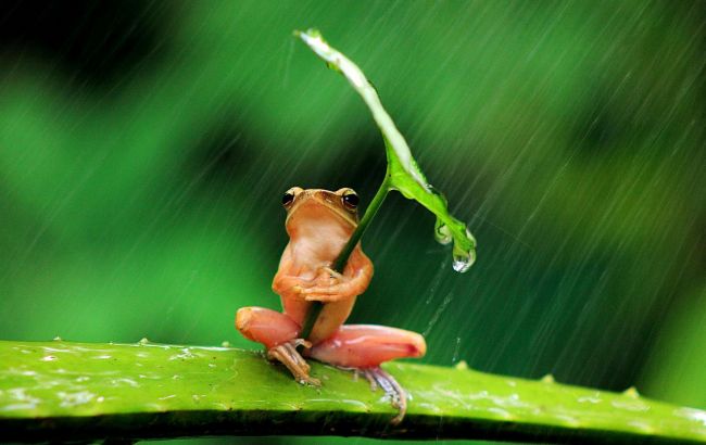 Погода на сьогодні: в Україні місцями дощі з грозами, температура до +29