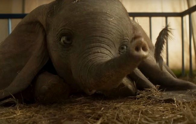 Фильм "Дамбо": смотреть онлайн трейлер