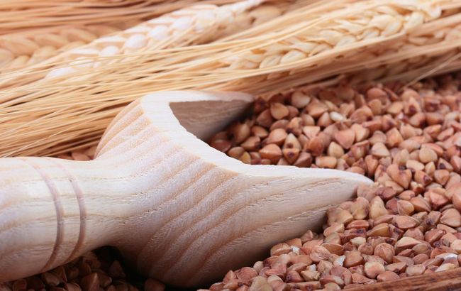 Аграрный фонд начал закупку гречки по форвардной программе