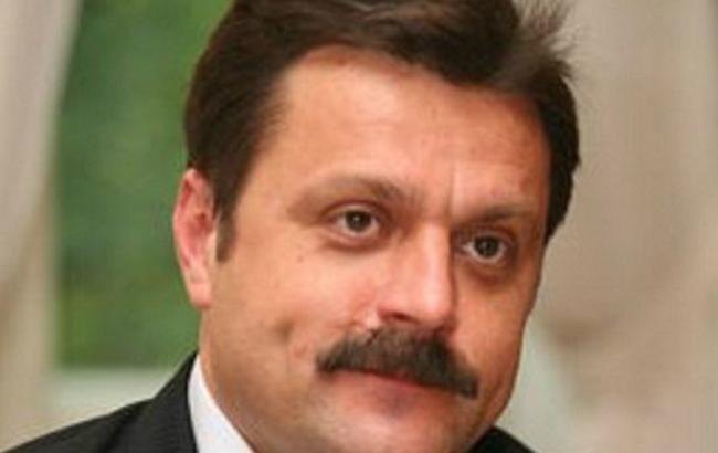 Стал известен автор поправки в бюджет о переносе электронного декларирования