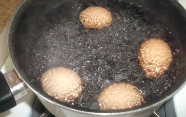 Из-за этих ошибок яйца при варке трескаются и лопаются