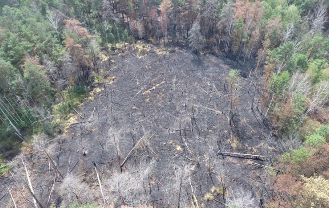 Спасатели ликвидировали пожар близ Чернобыльской АЭС