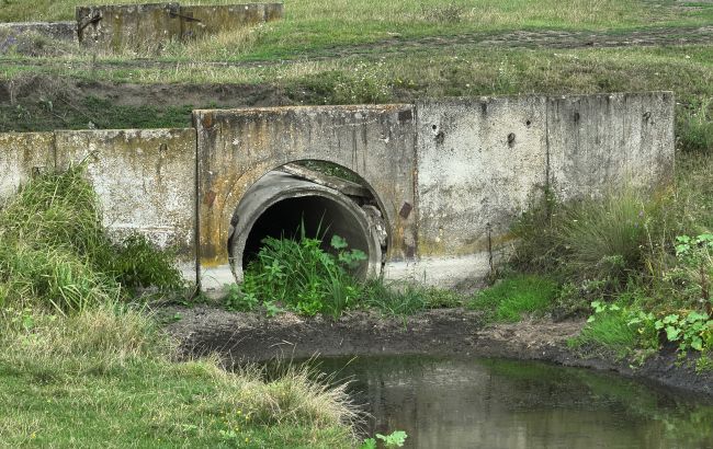 На півдні України річки вже пересихають: гідролог пояснила, чого чекати в майбутньому
