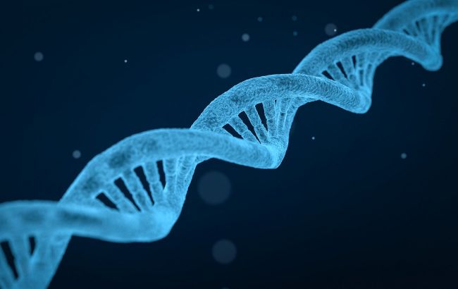 Новое открытие про неандертальцев может перевернуть знание о современных мужчинах