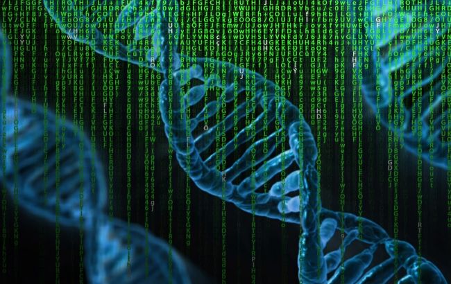 Исчезновение зубов мудрости и появление новой артерии: эволюция человека продолжается