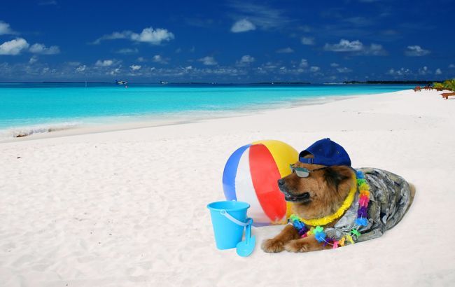 Погода на сьогодні: в Україні місцями дощі, температура до +36