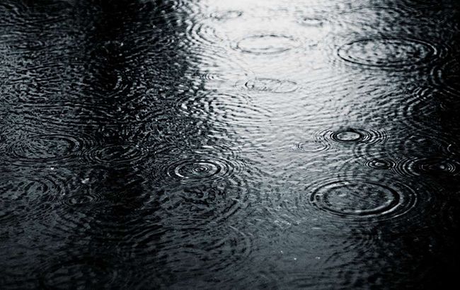 В Закарпатье из-за непогоды обесточены 30 населенных пунктов, - ГСЧС