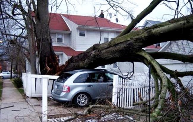 В США число жертв урагана "Майкл" достигло 33 человек