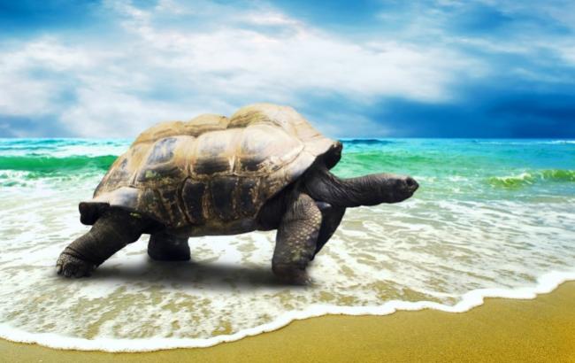 Гороскоп на сегодня, 6 декабря