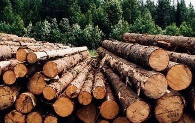 Украина намерена урегулировать вопрос экспорта древесины по нормам ВТО и ЕС