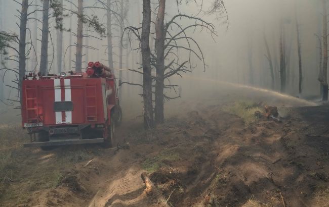 В Луганской области вспыхнули лесные пожары