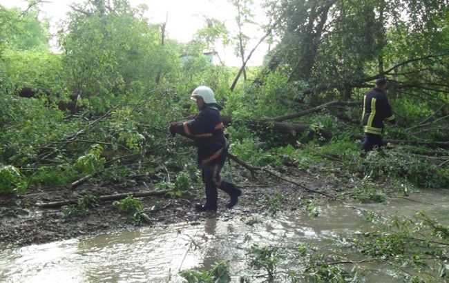 На западе Украины затопило десятки домов