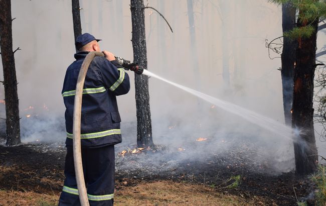 Лесной пожар в Николаевской области ликвидирован, - ГСЧС