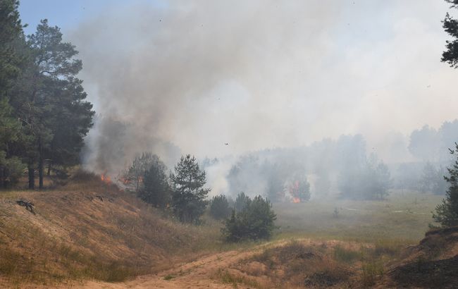 У Миколаївській області виникла пожежа на території лісового масиву