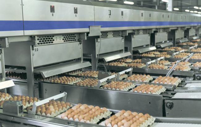 Эксперты прогнозируют кризис в аграрной отрасли из-за давления НАБУ на компанию Бахматюка