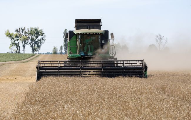В Украине повысили прогноз сбора зерна благодаря рекордной урожайности