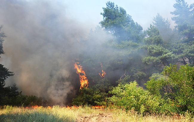 В Украине продолжает удерживаться пожарная опасность