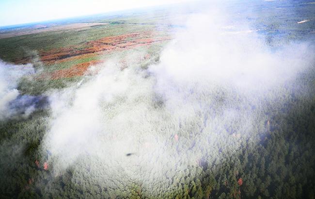 Синоптики попереджають про високий рівень пожежної небезпеки в Україні