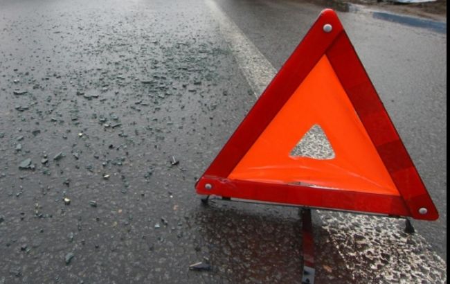 Под Киевом два автомобиля столкнулись из-за перебегавшего дорогу лося