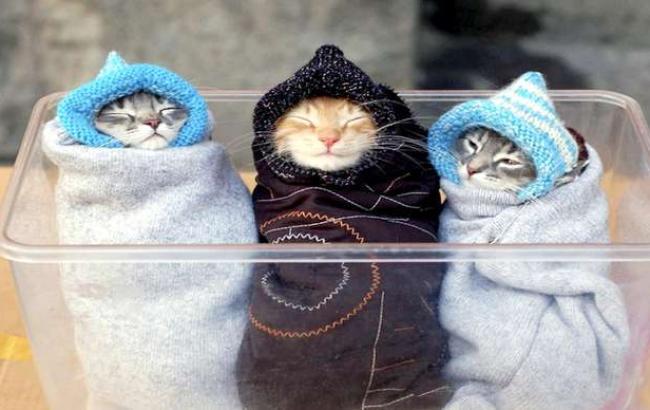 "Киевэнерго" подключило к отоплению 52% столичных домов