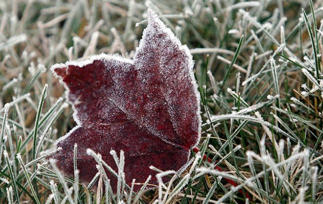 Синоптики предупреждают о заморозках в ряде областей Украины
