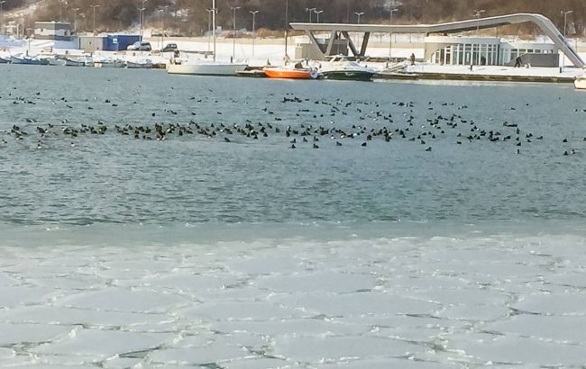 В Болгарии впервые за 60 лет замерзло Черное море