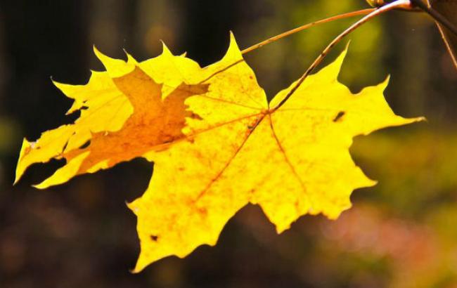 Погода на сегодня: В Украине без осадков, температура опустится до -1