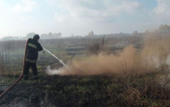 У Київській обл. горить майже 30 га торфовищ, - ДСНС