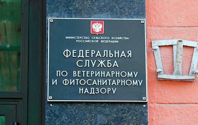 РФ временно ограничила экспорт украинской мясной продукции из-за вспышки АЧС