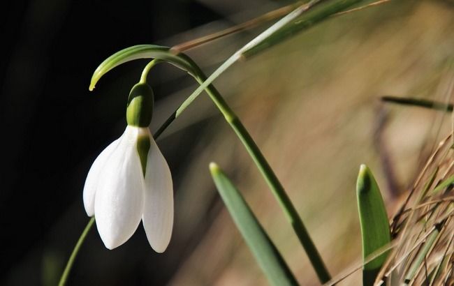Весна начнется с похолодания: синоптики дали неутешительный прогноз на выходные