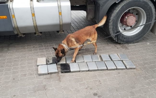 В Одесі знайшли кокаїну на 4 млн доларів у контейнері з бананами