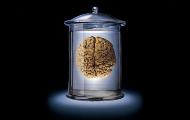 Из Техасского университета пропали 100 банок с мозгами