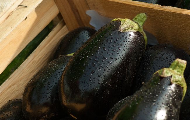 Как отличить вкусный баклажан от перезрелого и горького: фотоинструкция
