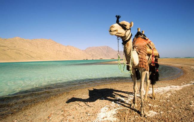 Минтуризма Египта приостанавливает работу двух туркомпаний-партнеров украинского оператора Join Up