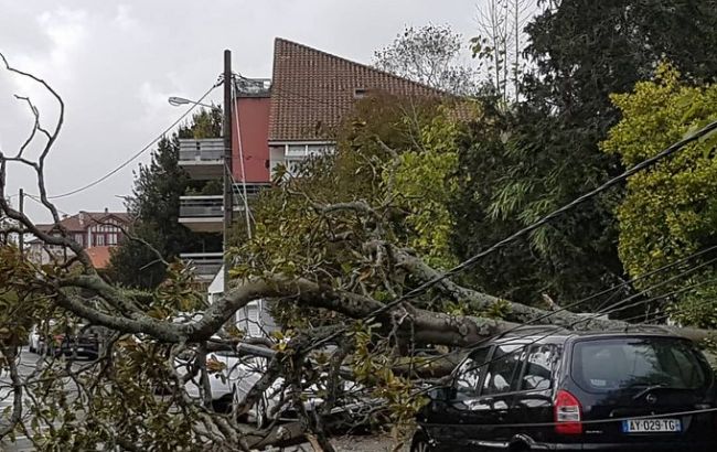 Во Франции 140 тыс. домов остались без света из-за шторма
