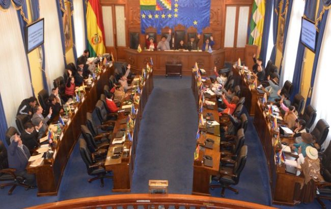 Сенат Боливии принял законопроект о созыве новых выборов