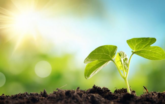 Экологи отметили инновационные проекты "Метинвеста"