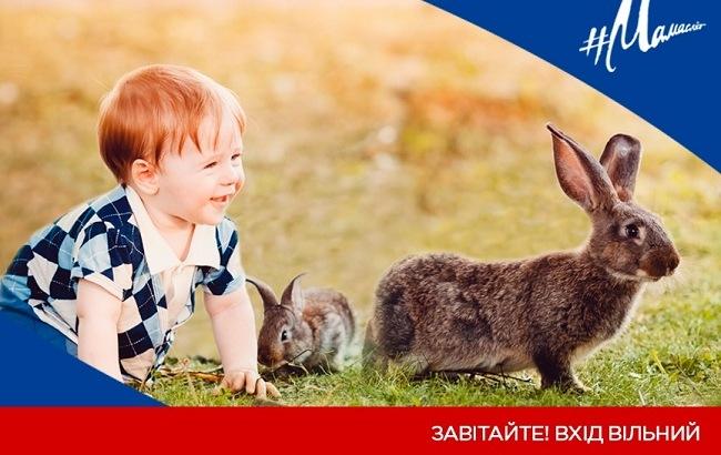 В Киеве проведут эко-ярмарку и большой Family Market для всей семьи